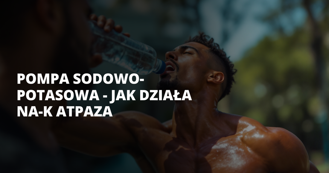 Pompa sodowo-potasowa - jak działa Na-K ATPaza - salt. elektrolity