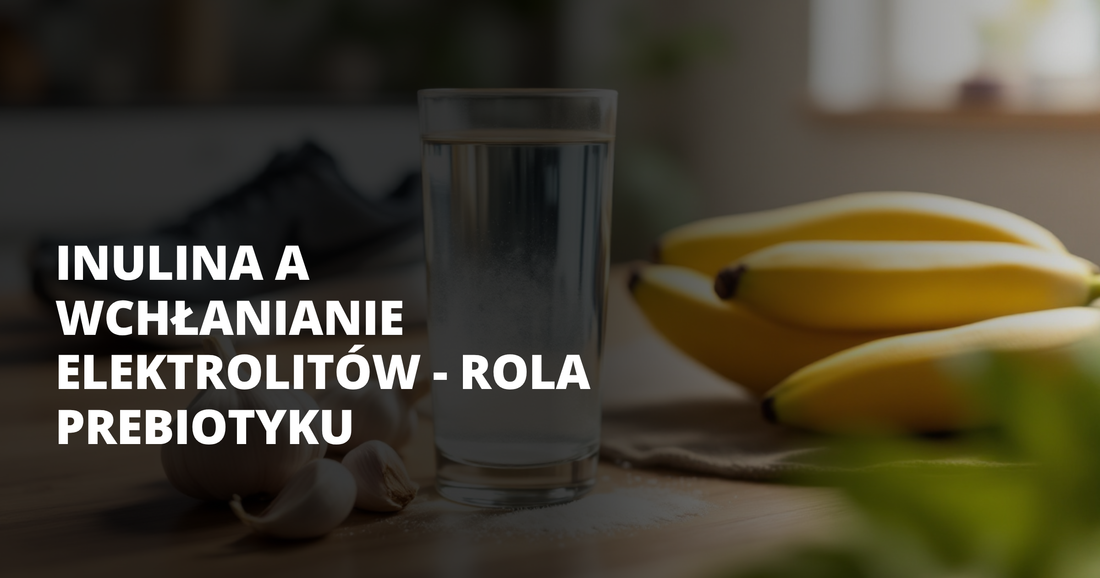 Inulina a wchłanianie elektrolitów - rola prebiotyku - salt. elektrolity
